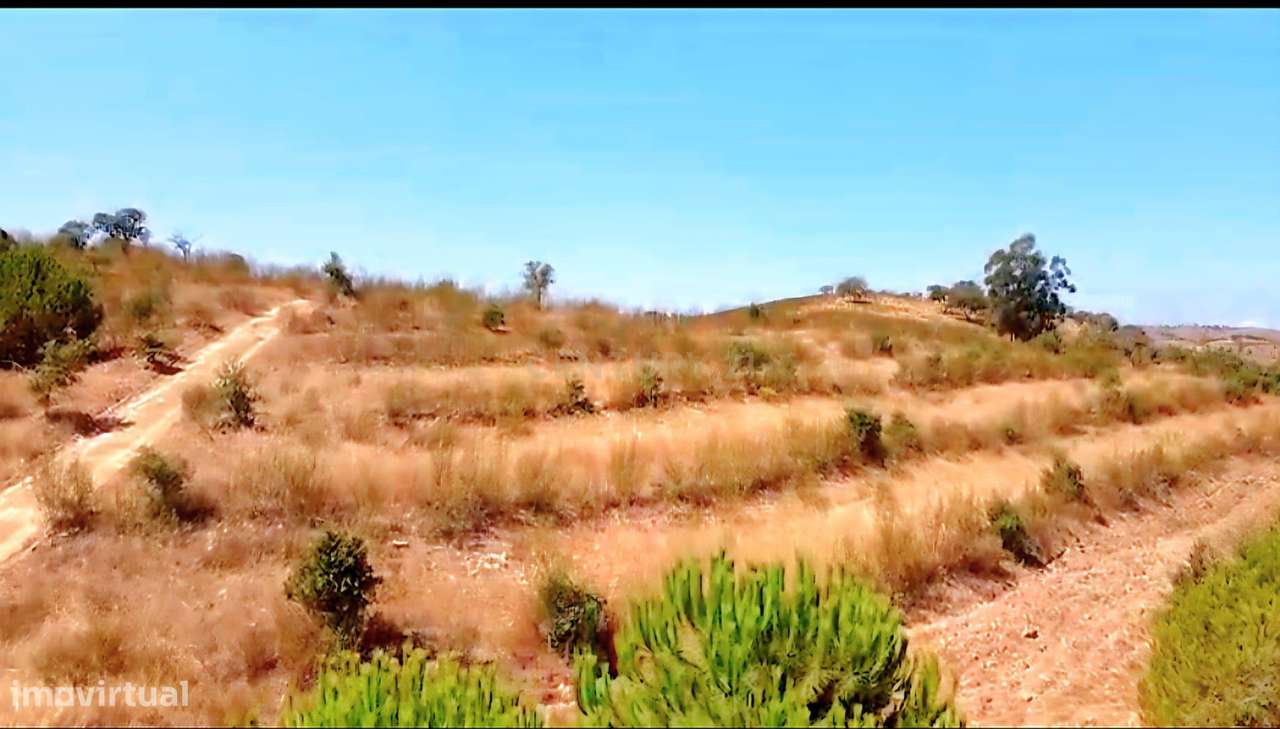 Terreno Monte Alentejano com 6,27 ha, Artigo Urbano 120 m² e Montado d - Grande imagem: 3/9