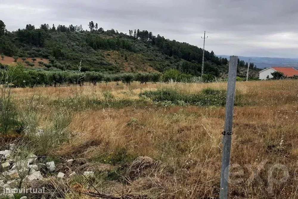 Terreno rústico - Freguesia Bouça - Grande imagem: 4/8