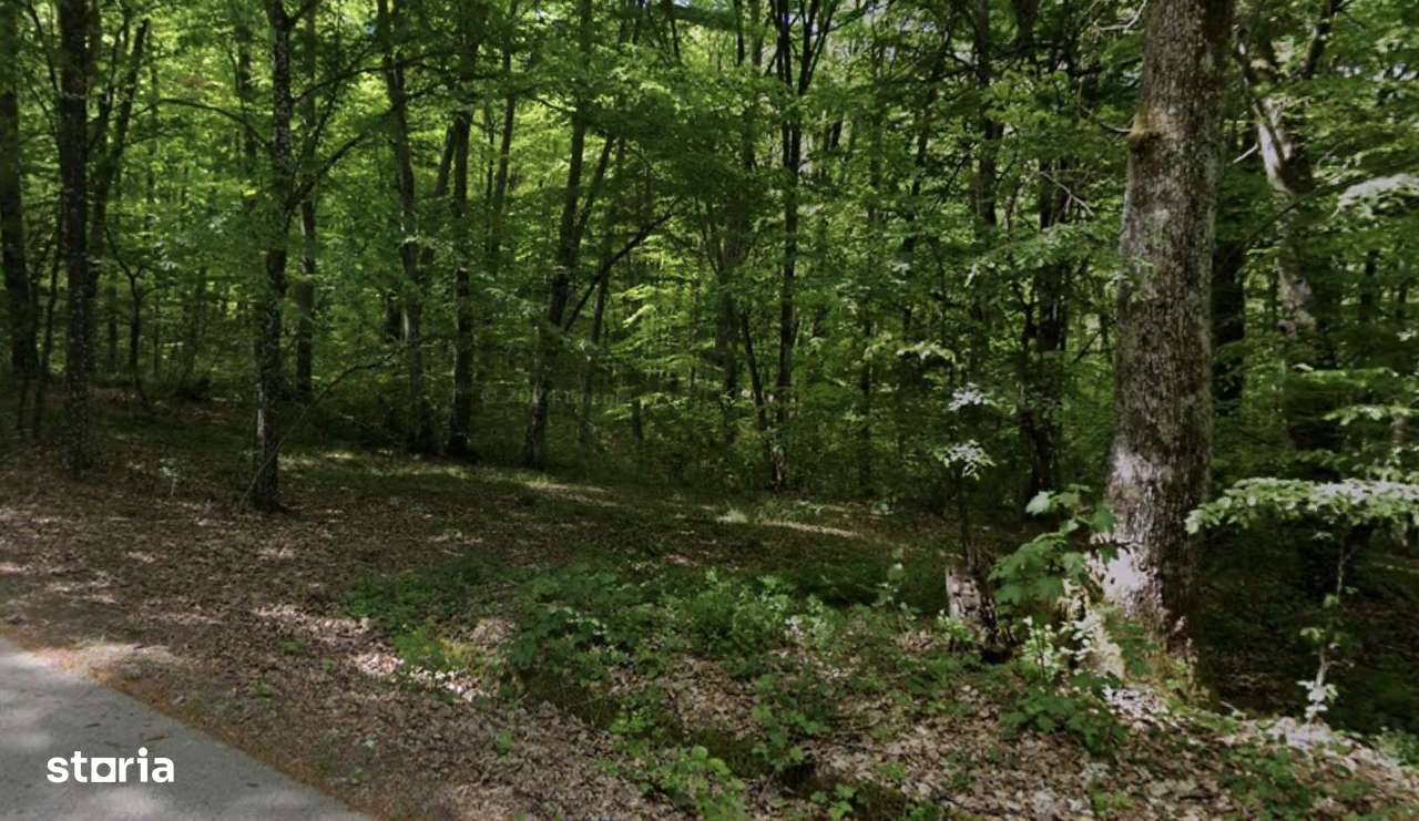 Teren extravilan, livada, Lăzăreni. 22 500 E. Comision 0 - Imagine principală: 2/3