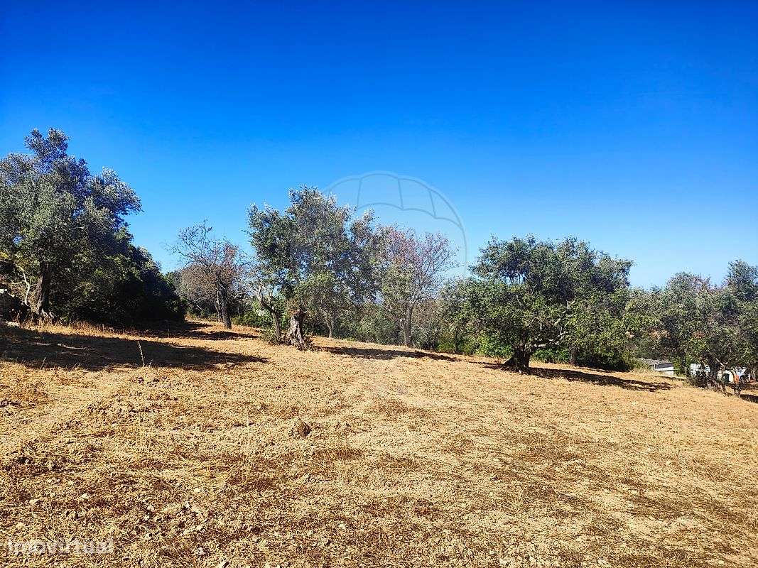 Terreno  para venda - Grande imagem: 3/12