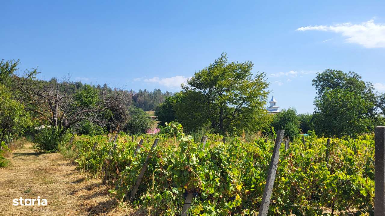 Casă de vânzare în mediul rural – liniște, natură și confort-11