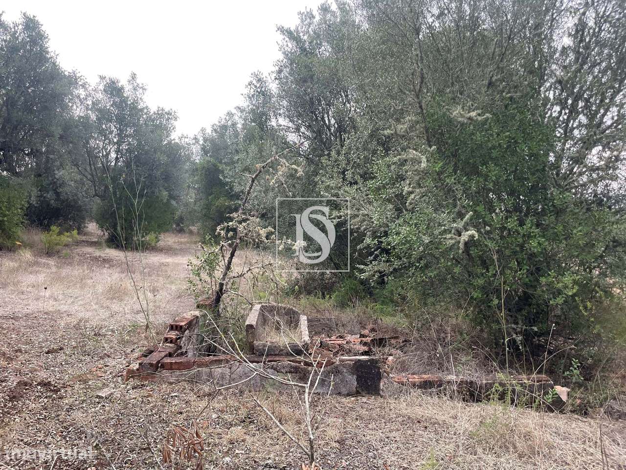 Quintinha em Montargil-24