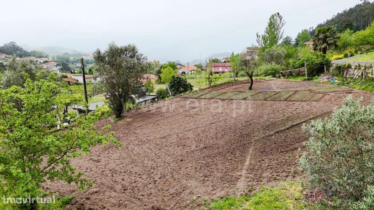 Quintinha / Marco de Canaveses, Sande e São Lourenço-9