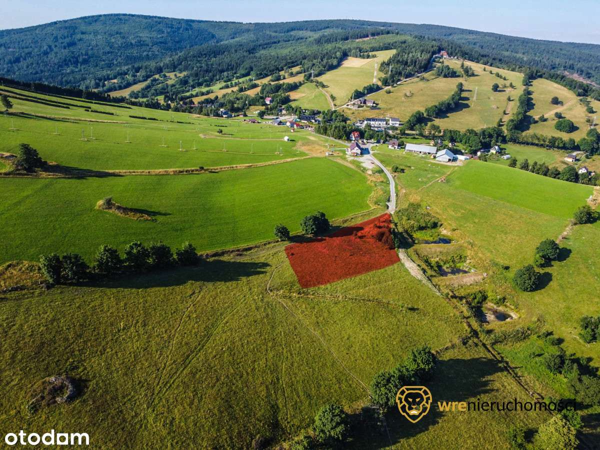 Warunki Zabudowy - 5 domów lub hotel z restauracją-1