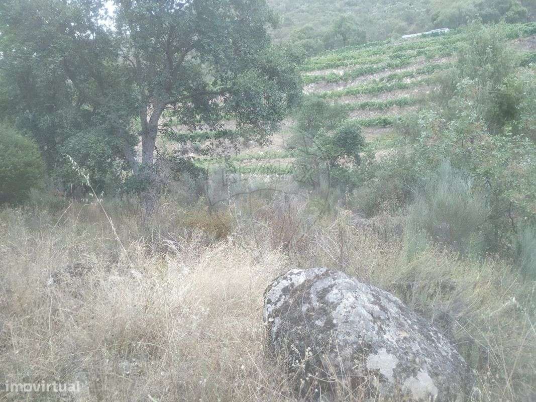 Terreno  para venda - Grande imagem: 5/9