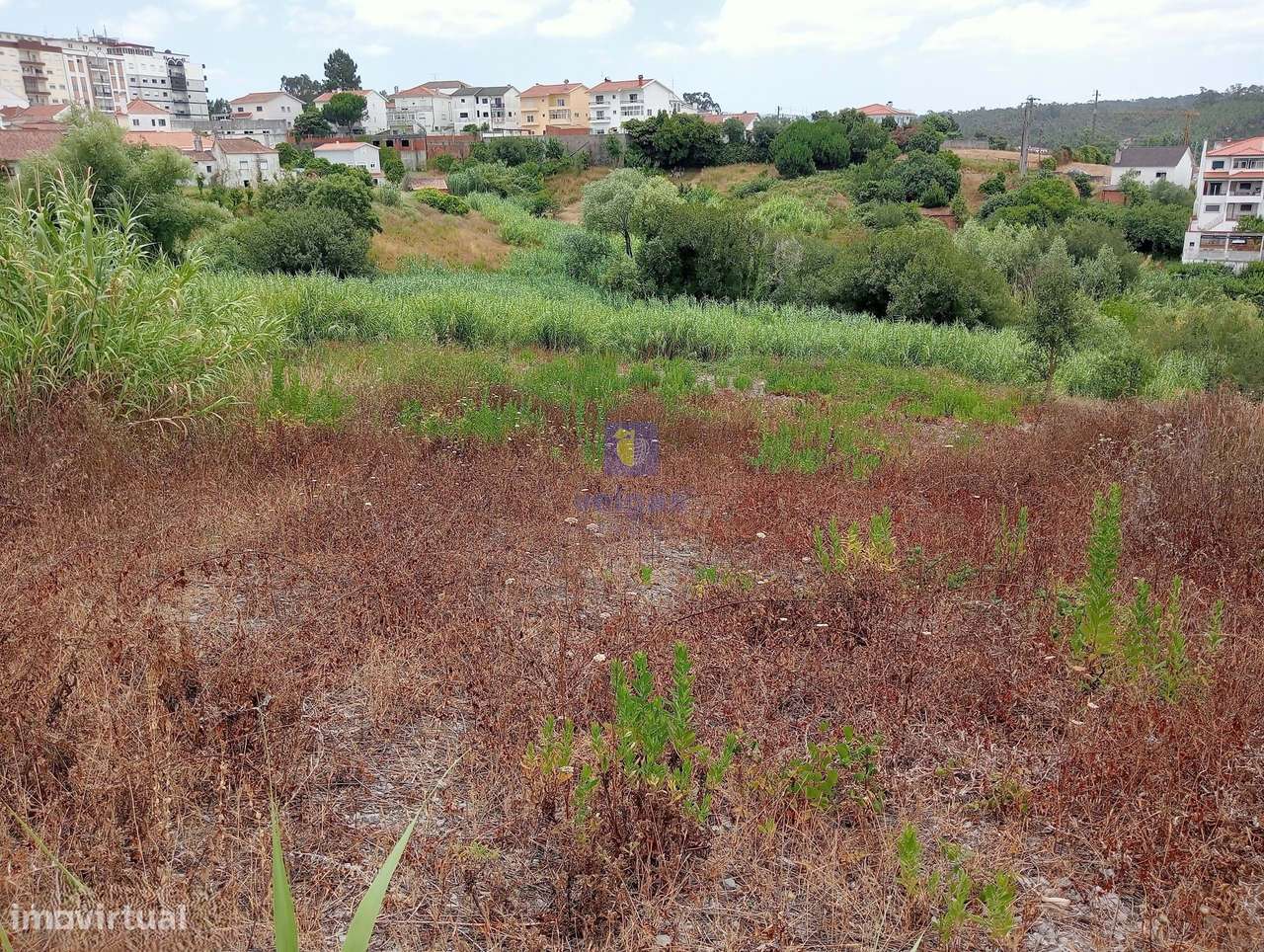 Terreno urbano com 4.880 m2 na Cruz da Areia, Leiria, com estudo para - Grande imagem: 4/11