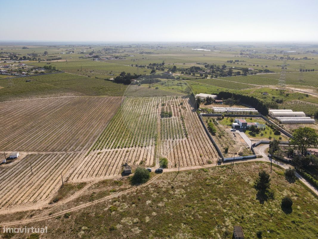 Terreno  para venda