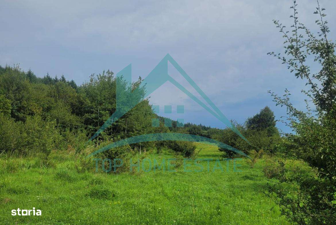 Teren pentru cabana/pensiune zona Lac Micesti!-9