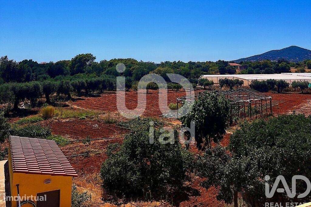 Casa / Villa T3 em Conceição e Estoi de 112,00 m2 - Grande imagem: 4/30