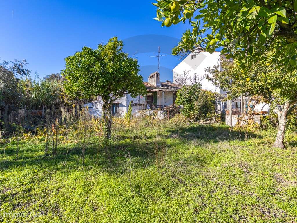 Moradia para recuperar-10