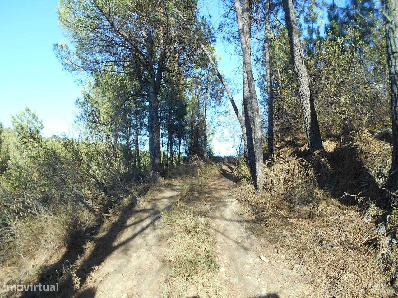 Quinta - Grande imagem: 5/7