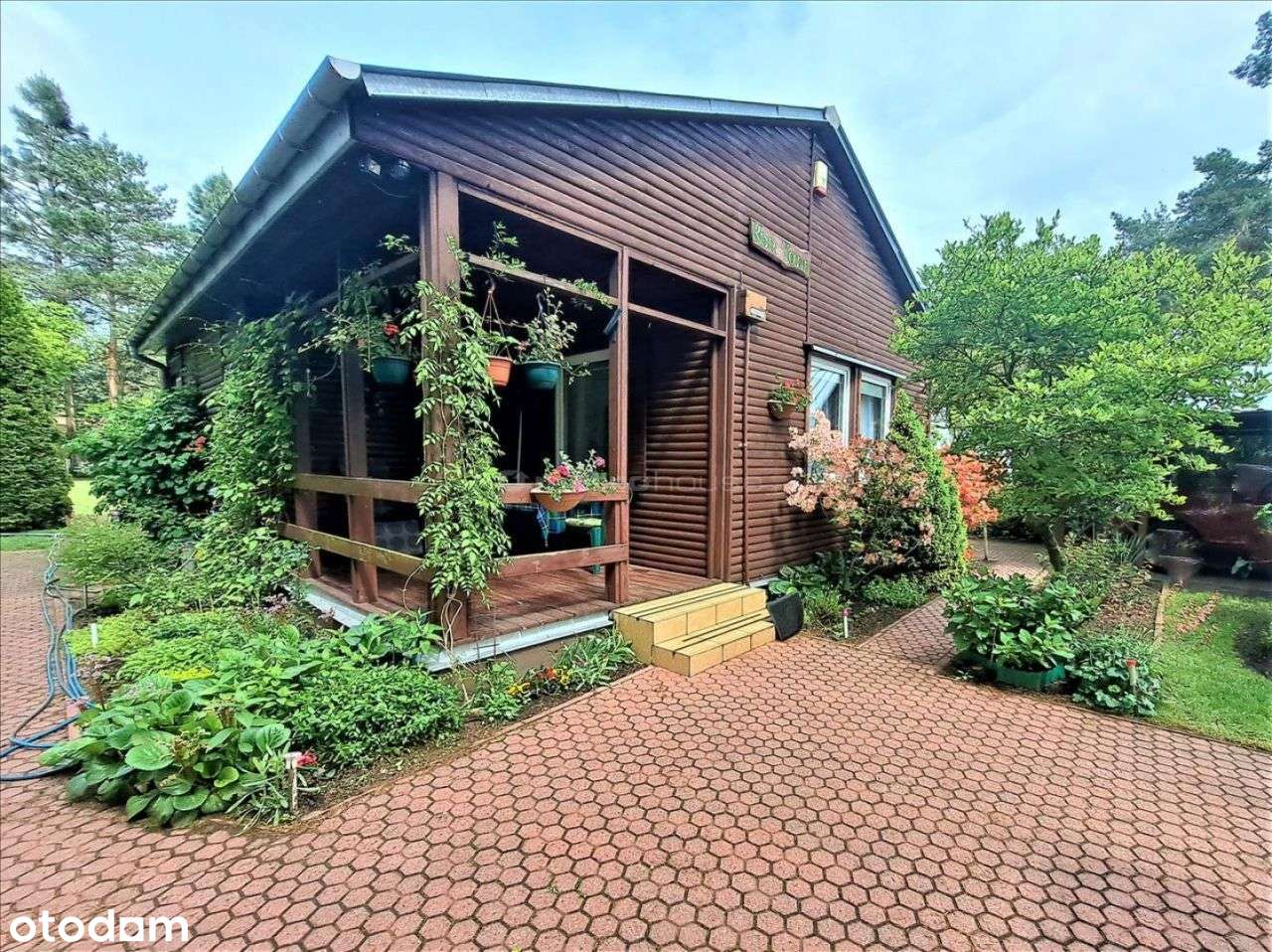 Wspaniała działka rekreacyjna pod Węgrowem. - Pełny obrazek: 2/15