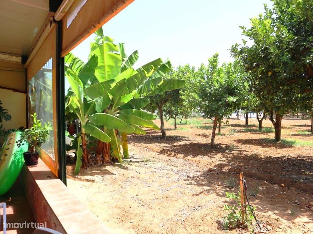 Quinta T4, em Luz de Tavira-37