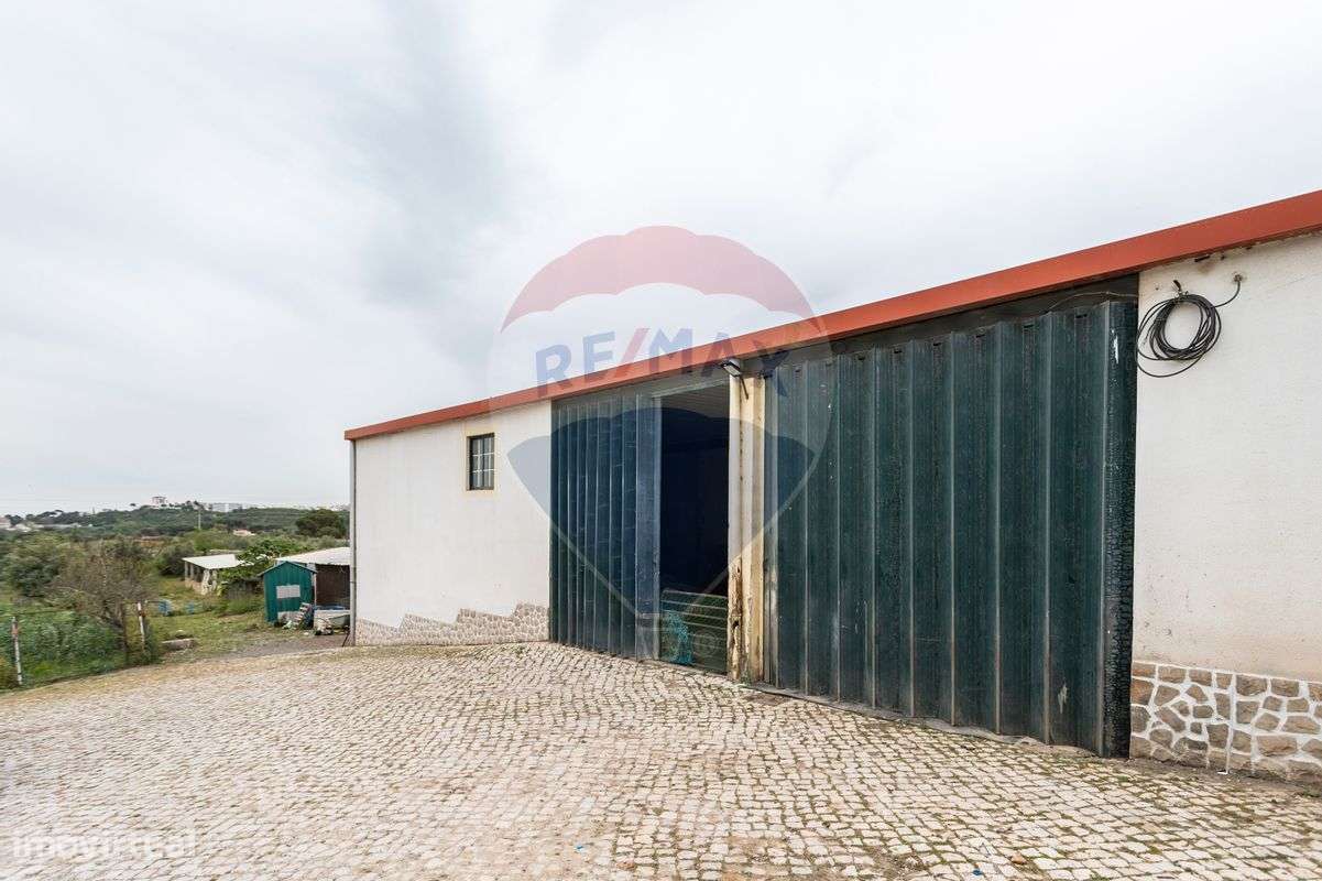 Quinta T4 para venda - Grande imagem: 4/31