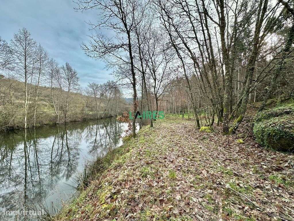Terreno situado nas margens do Rio Dão - Grande imagem: 4/7