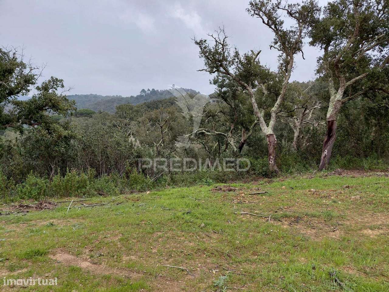 Terreno rústico com 4,050 hc,Quinta Nova, São Francisco da Serra. - Grande imagem: 2/10