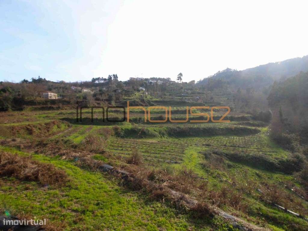 Quinta de 5.6 ha - Varias edificações, ribeiro e vista Douro-22