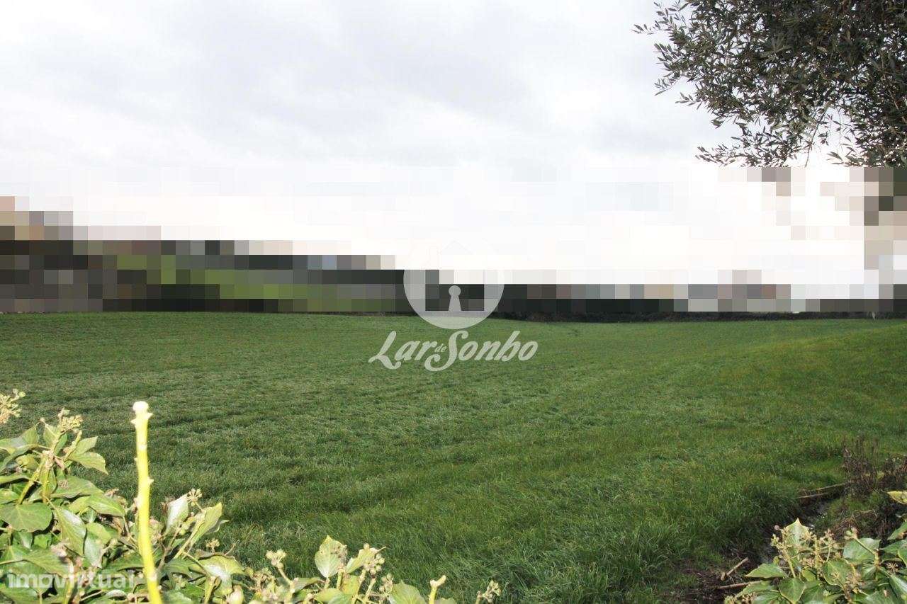Terreno com 13.340m2 para construção de moradias em Balazar - Póvoa... - Grande imagem: 4/5