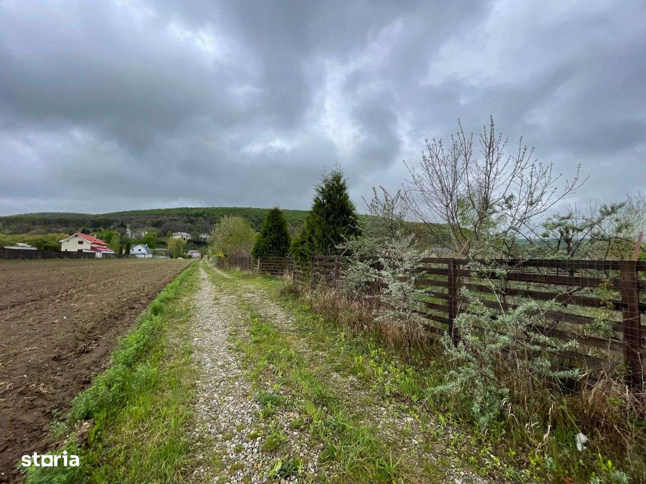 LOTURI TEREN HEMEIUS -567 mp - Pensiunea Loredana - Imagine principală: 3/7