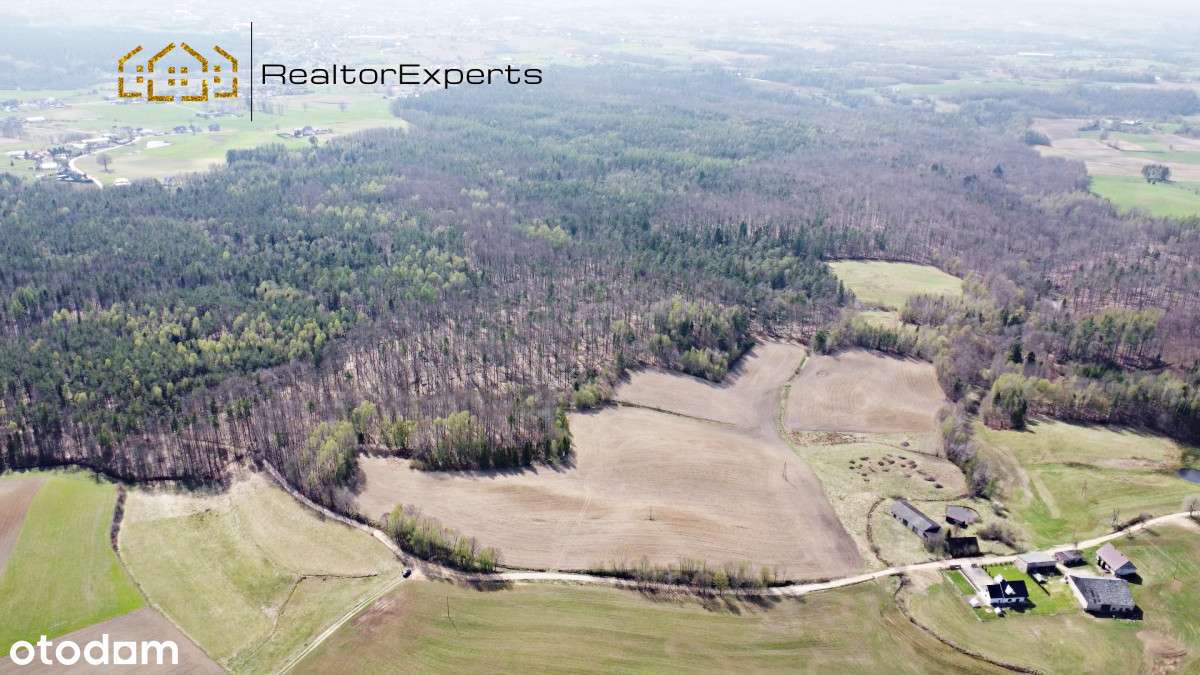Cztery działki budowlane na Kaszubach - super cena - Pełny obrazek: 3/11