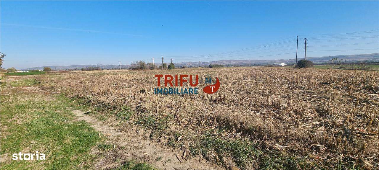 Teren intravilan de vanzare 2900 mp pe Soseaua de Centura - Imagine principală: 3/4