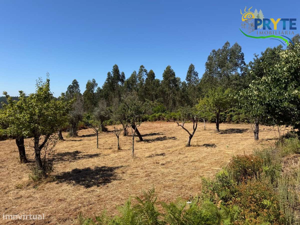 Quinta com moradia T3 , anexos e ruínas em Pedrógão Grande-59