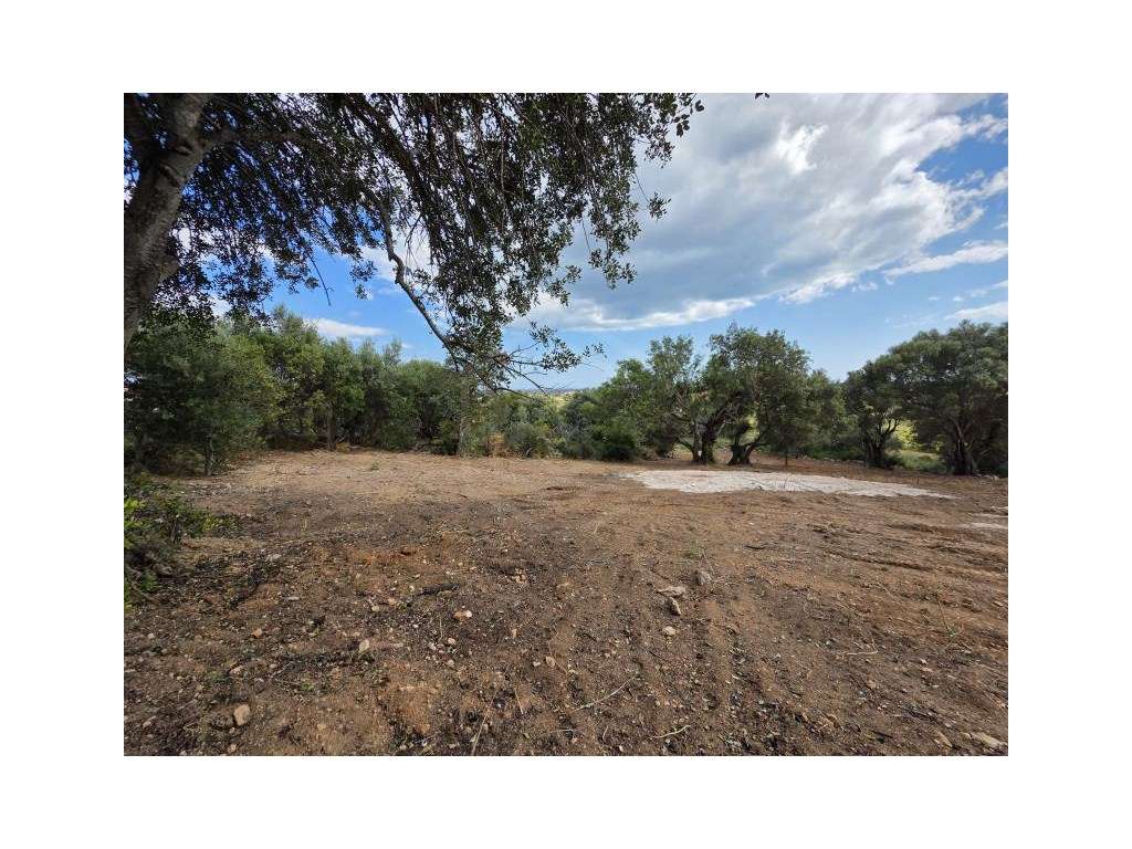 Terreno rústico com Vista Mar - Excelente oportunidade de investime... - Grande imagem: 5/28