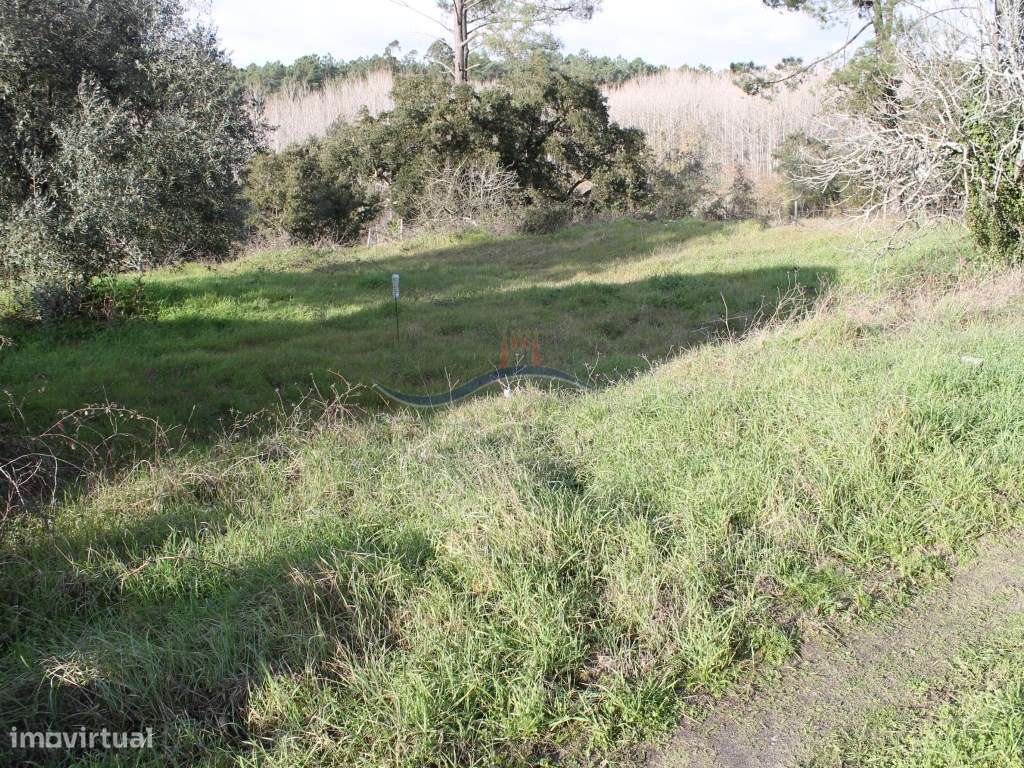 Terreno - Monte Redondo - Grande imagem: 2/6