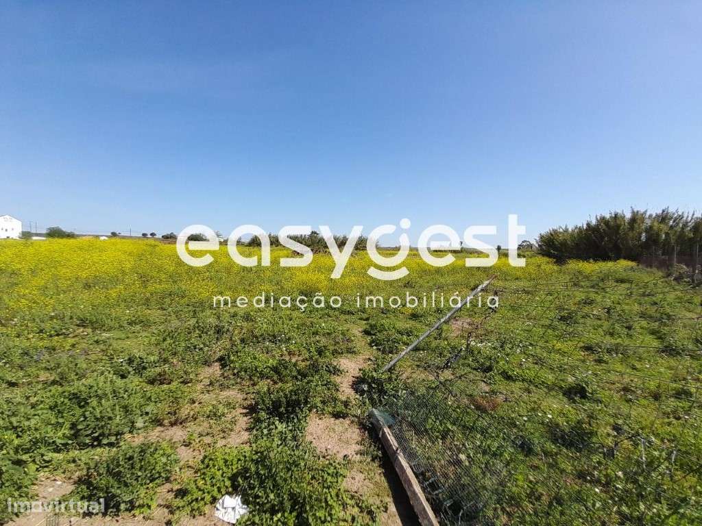 Terreno em Beja com 20.000 m2, acesso pela Estrada Nacional - Grande imagem: 3/41