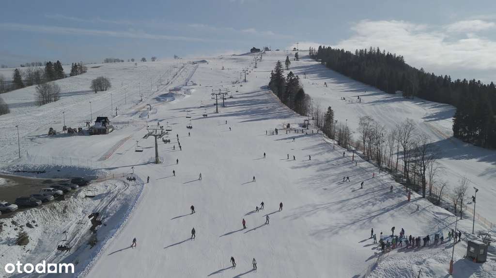 Niezwykły potencjał inwestycyjny -Litwinka-3