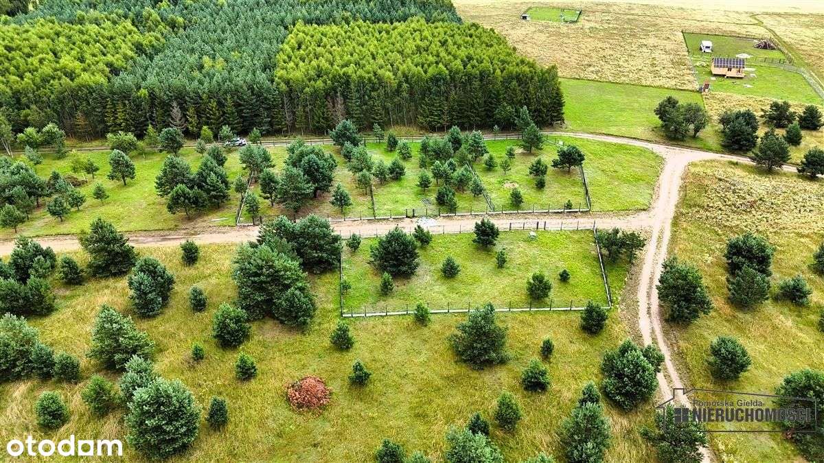 Na Raty! Ogrodzone działki blisko jez. Dołgie. - Pełny obrazek: 5/20