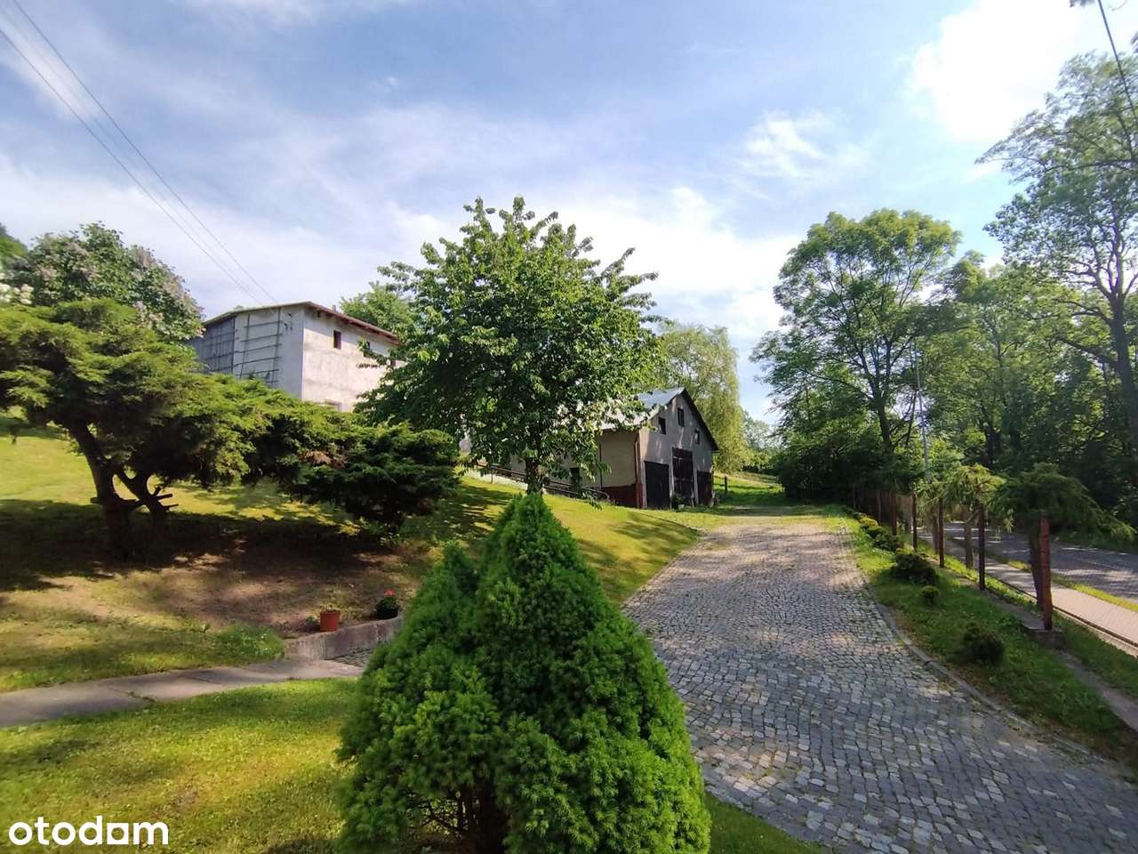 Włodowice Dom wolnostojący  1,65ha w tym las - Pełny obrazek: 4/14