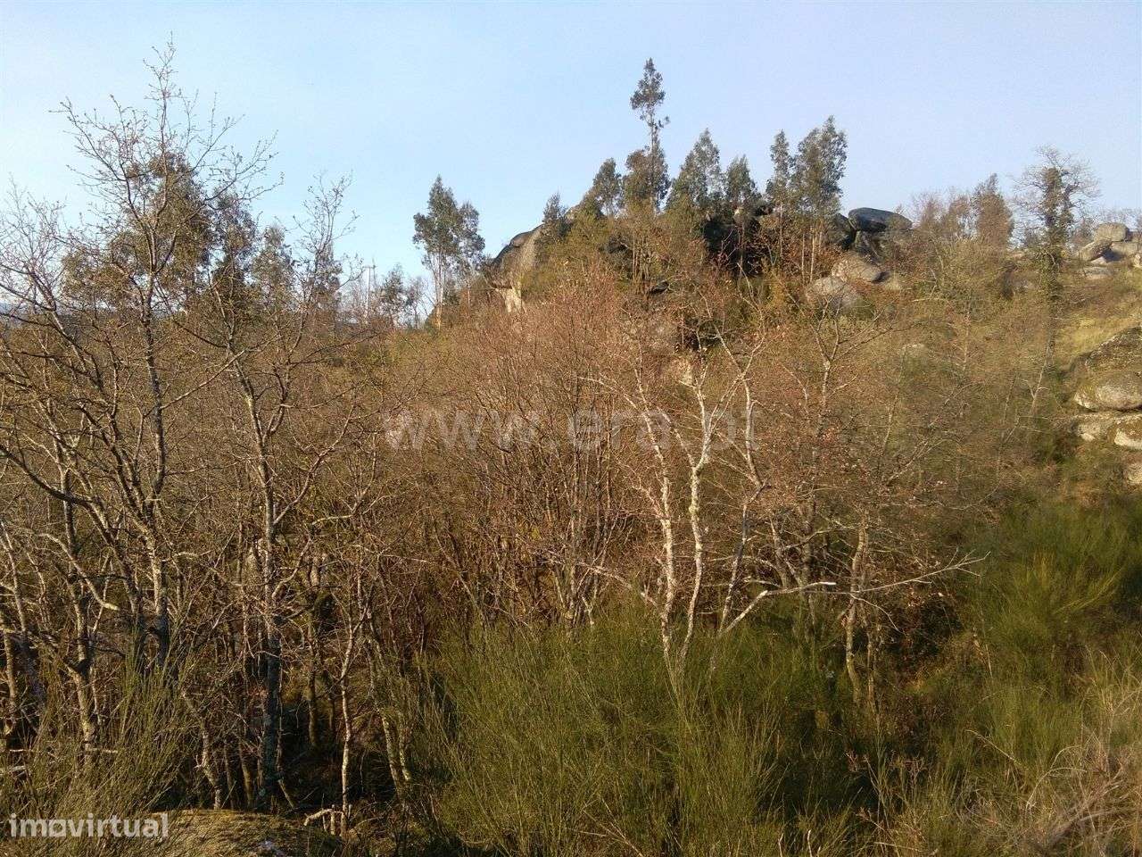 Terreno em Travassós - Grande imagem: 5/5