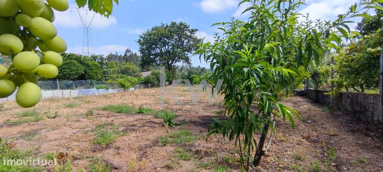 Terreno com 1820m2 em Brasfemes, Coimbra - Grande imagem: 4/12