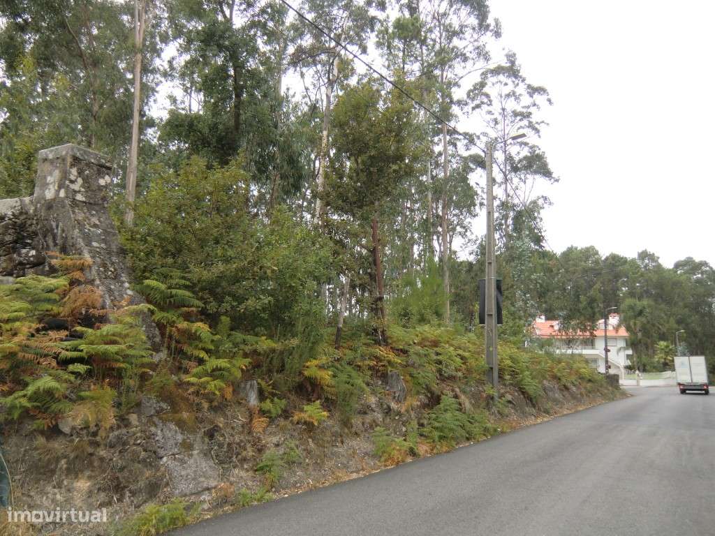 Terreno,Fajões,Oliveira Azemeis - Grande imagem: 5/10