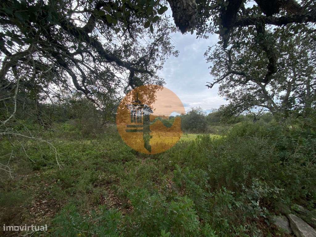 Terreno Rustico na Conceição de Faro - Grande imagem: 2/12
