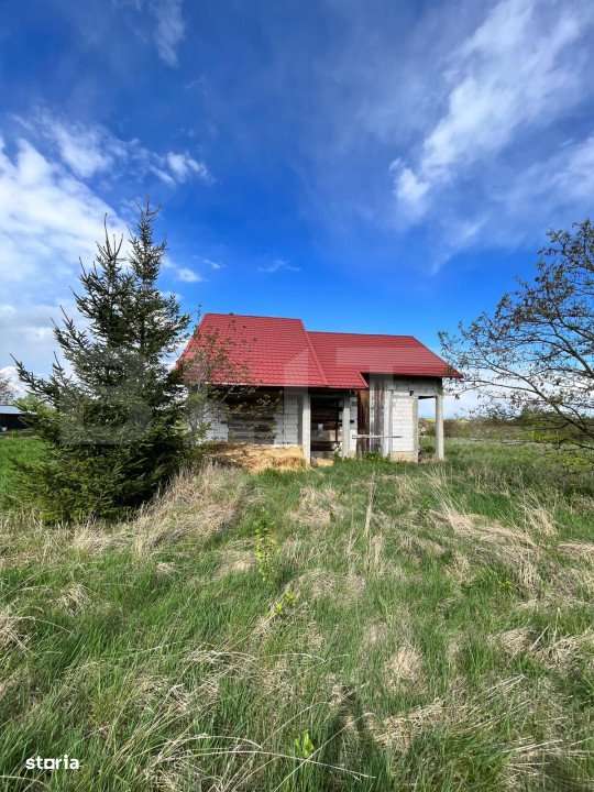 Casa individuala ,la rosu, zona -Negostina - Imagine principală: 5/5