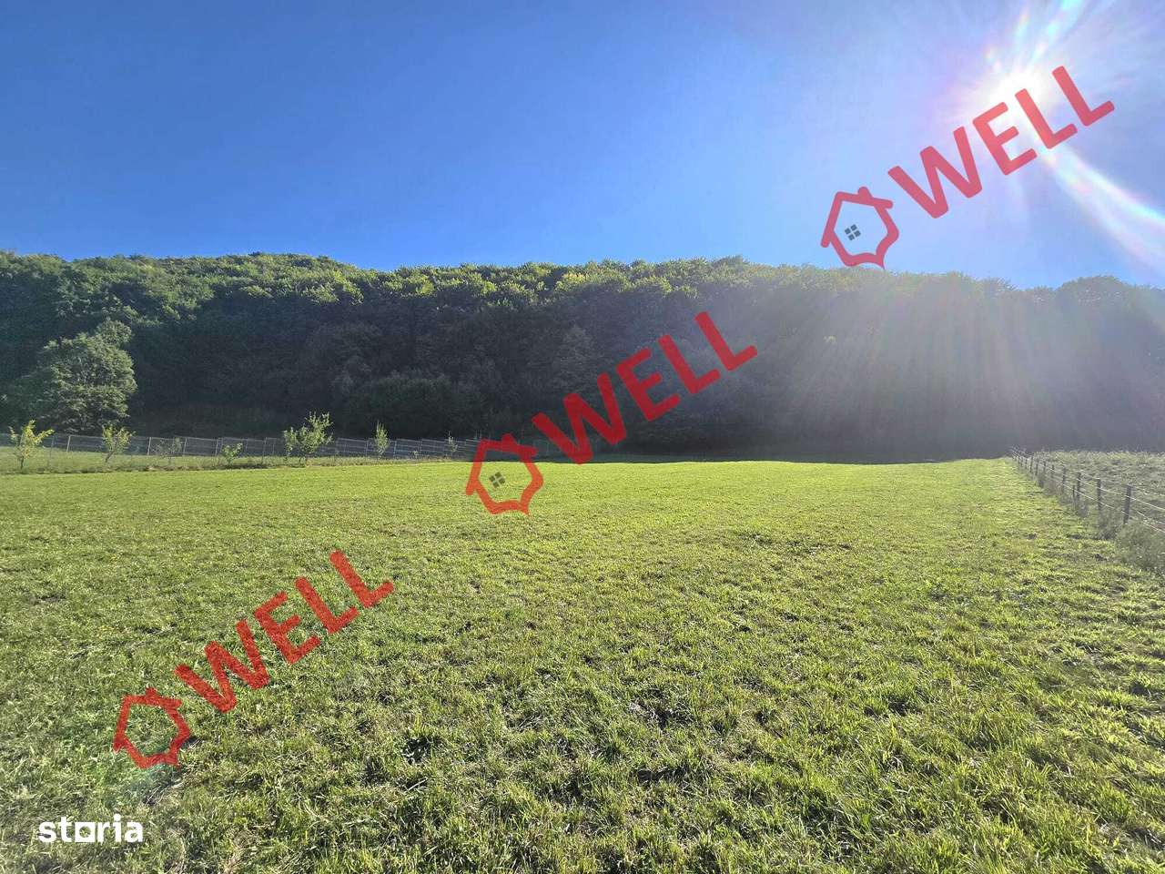 De vânzare teren de 2.782 mp în loc. Bixad - Imagine principală: 4/4