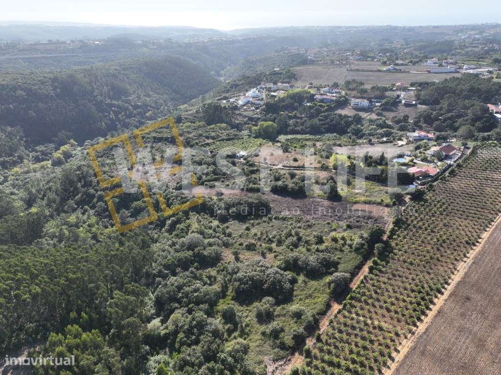 Terreno em Mafra - Terreno Rústico com 3562m2 localizado em Sobreiro - Grande imagem: 3/20