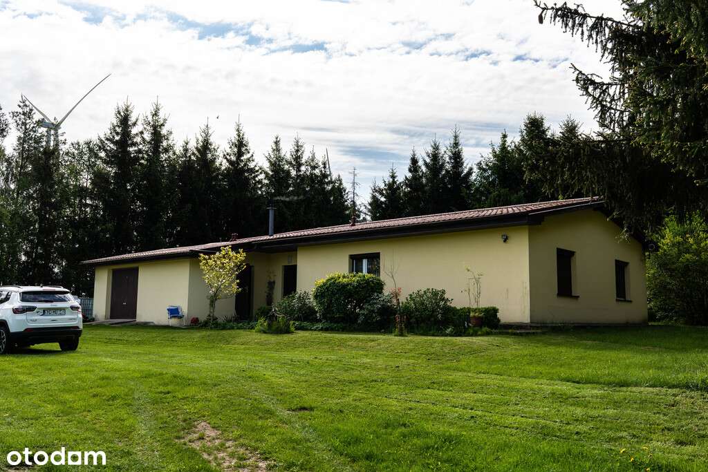 Dom z potencjałem, 1,6 HA ZIEMI + STAW - Pełny obrazek: 5/19