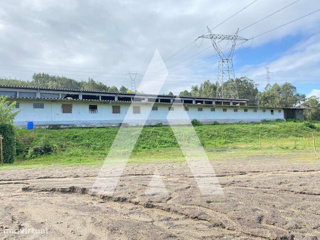 HERDADE - Grande imagem: 5/25