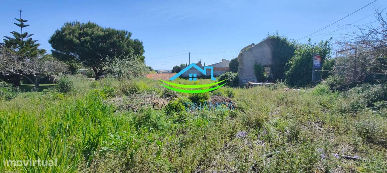 Terreno em Lavos c/ 43 m de frente e 671 m2 - Grande imagem: 5/9