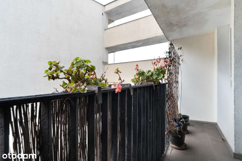 2 pokoje | 55,20 m² | balkon | winda | Łazarz-15