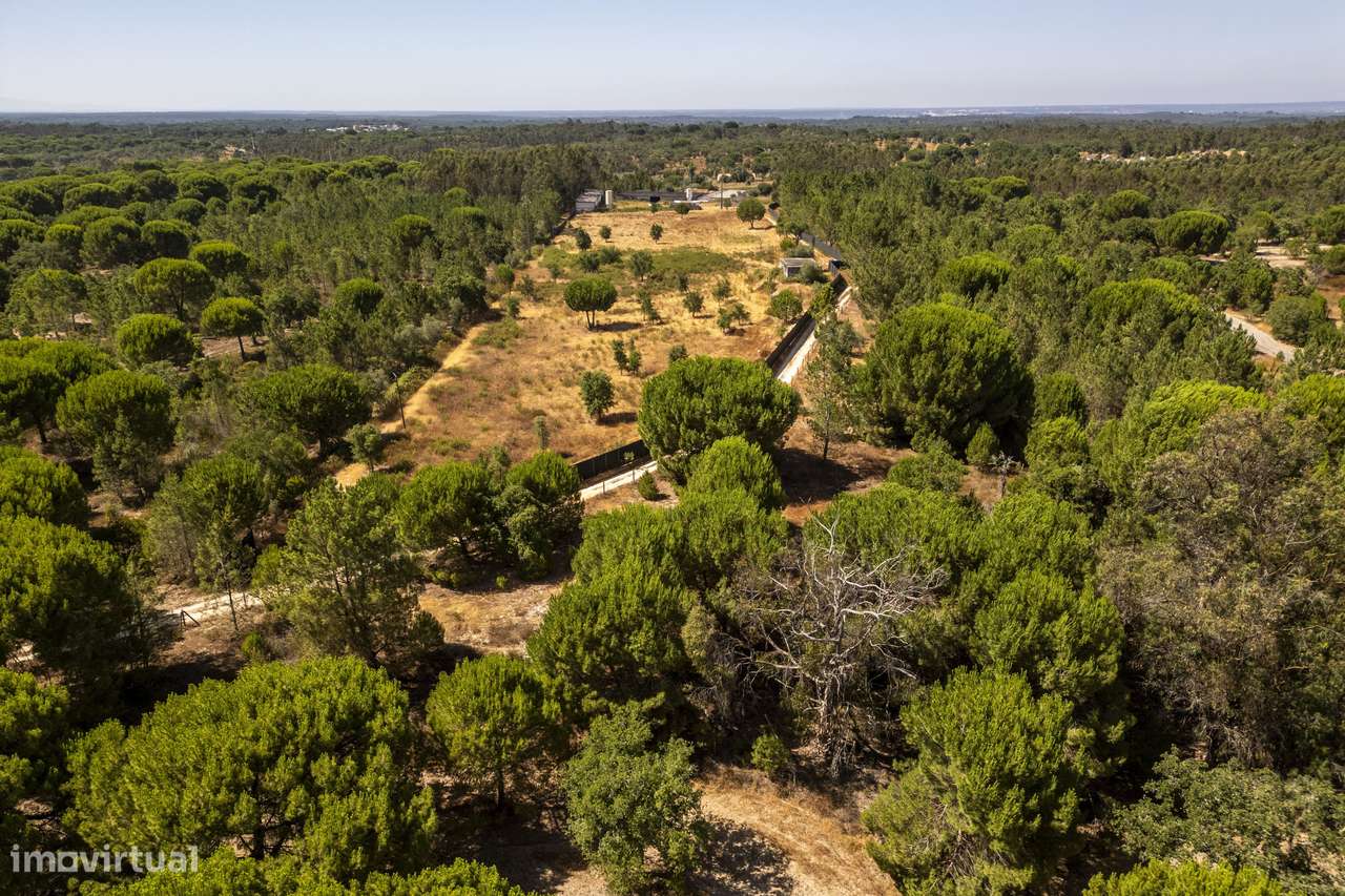 Quinta  5hct Rústica / Urbana com Potencial Único -  Branca - Coruche-5