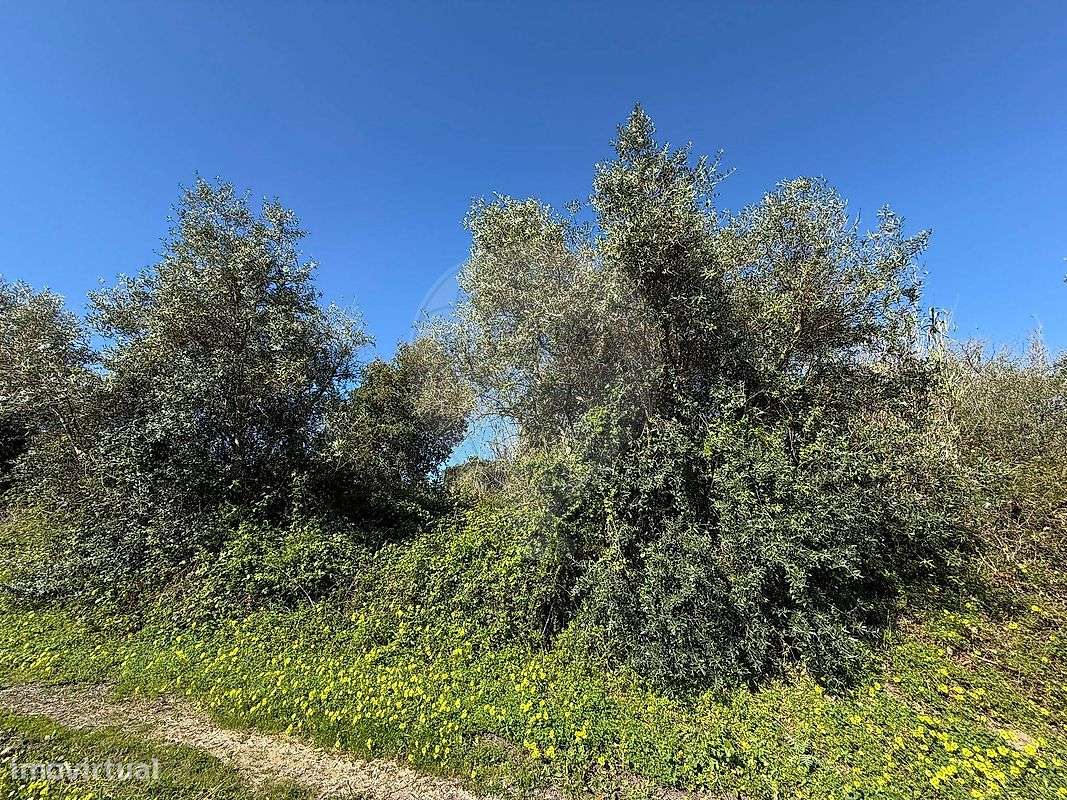 Terreno  para venda-8