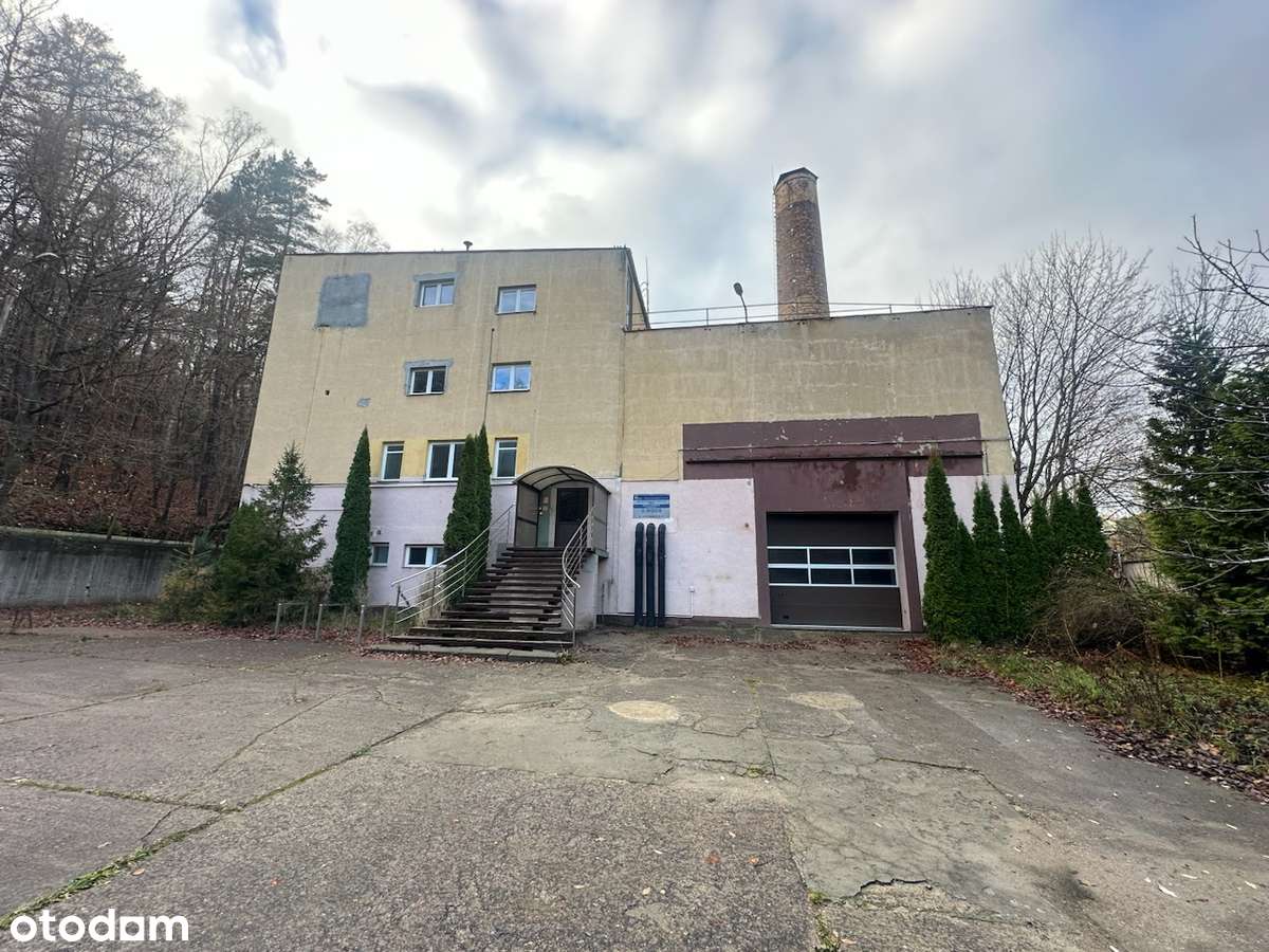 Do wynajęcia: obiekt biurowo-magazynowy Sopot, ul. Cieszyńskiego 15–17 - Pełny obrazek: 1/16