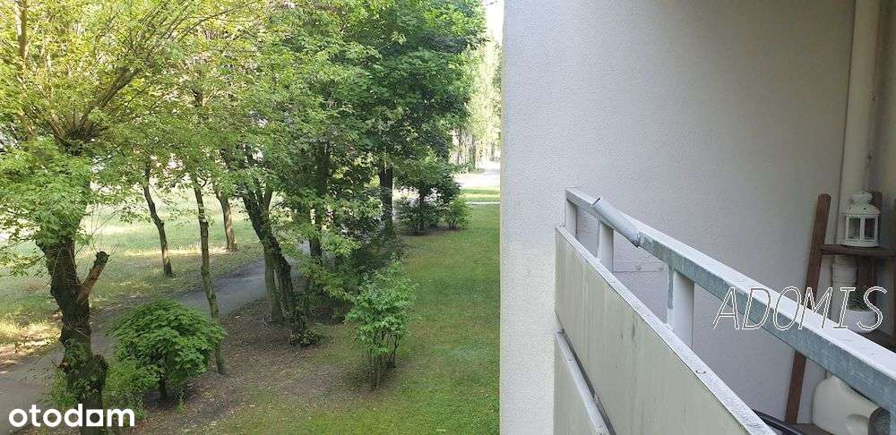 RATAJE Os. Czecha 3 pokoje umeblowane niski balkon - Pełny obrazek: 5/20