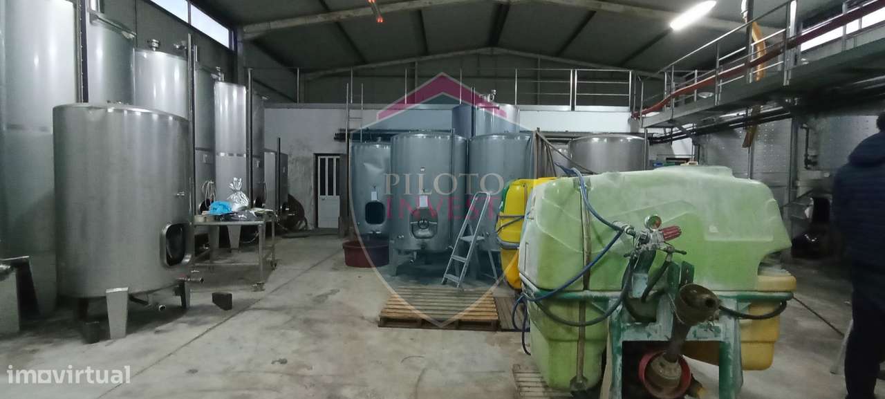 Quinta  Venda em Sezures,Penalva do Castelo-16