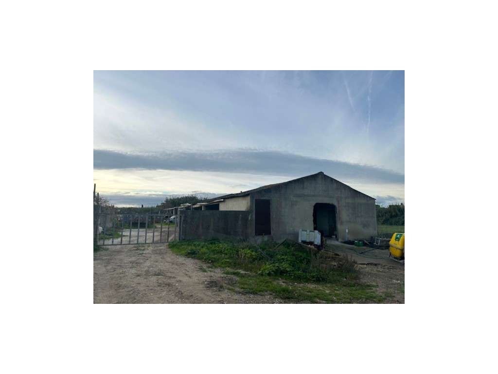 ALCOCHETE - TERRENO MISTO, COM POSSIBILIDADE DE CONSTRUÇÃO - Grande imagem: 5/7