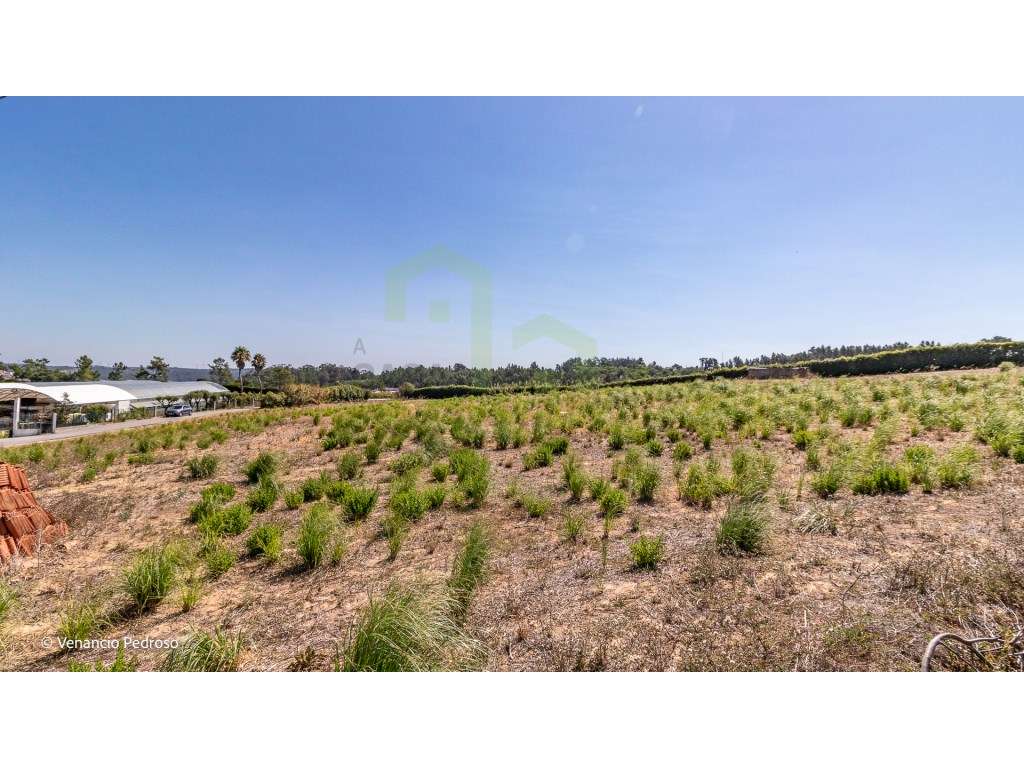 Terreno - Ericeira 4 km, A Casa das Casas - Grande imagem: 5/8